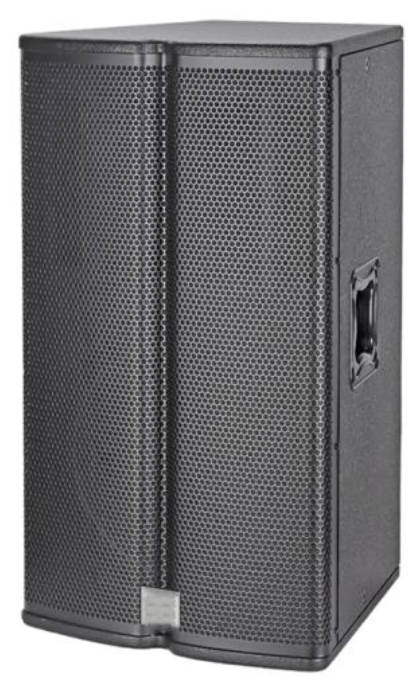 Point Source 12 pollici Elettroacustica EV